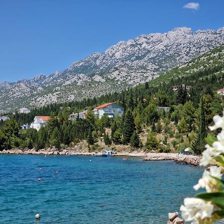 See Paradise ستاريغغاد باكلينتسا المظهر الخارجي الصورة