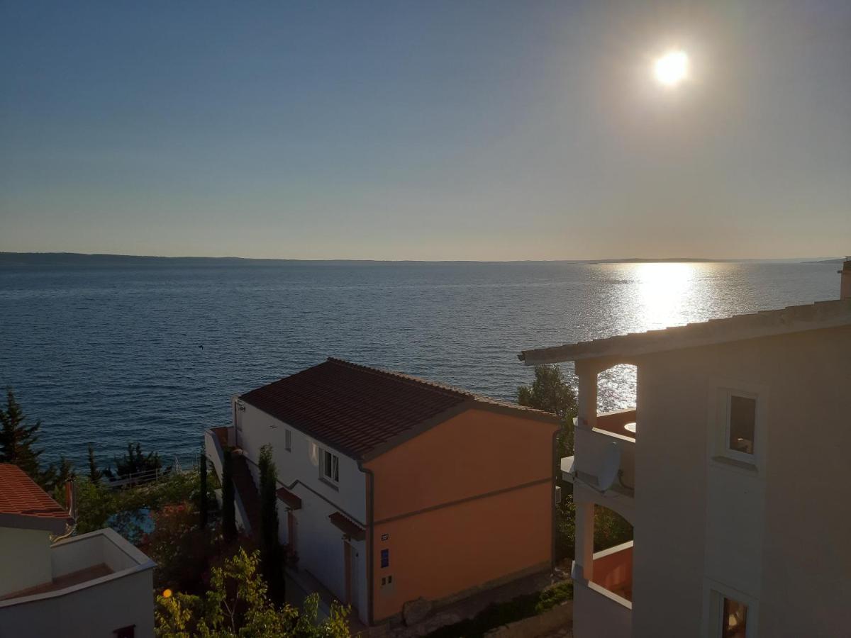 See Paradise ستاريغغاد باكلينتسا المظهر الخارجي الصورة