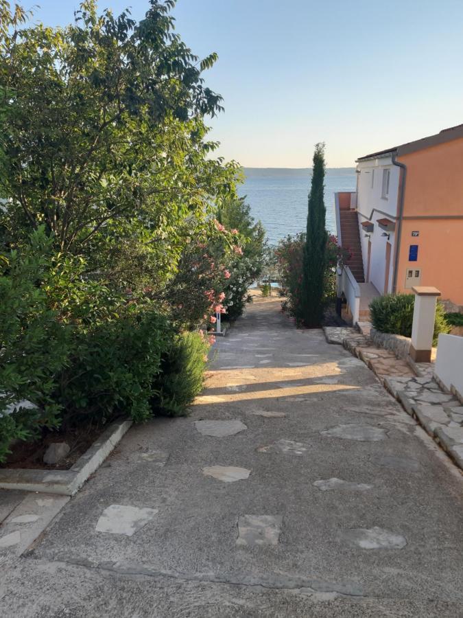See Paradise ستاريغغاد باكلينتسا المظهر الخارجي الصورة