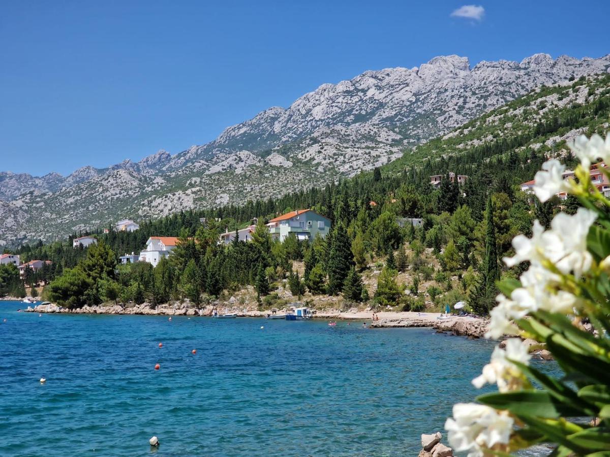 See Paradise ستاريغغاد باكلينتسا المظهر الخارجي الصورة